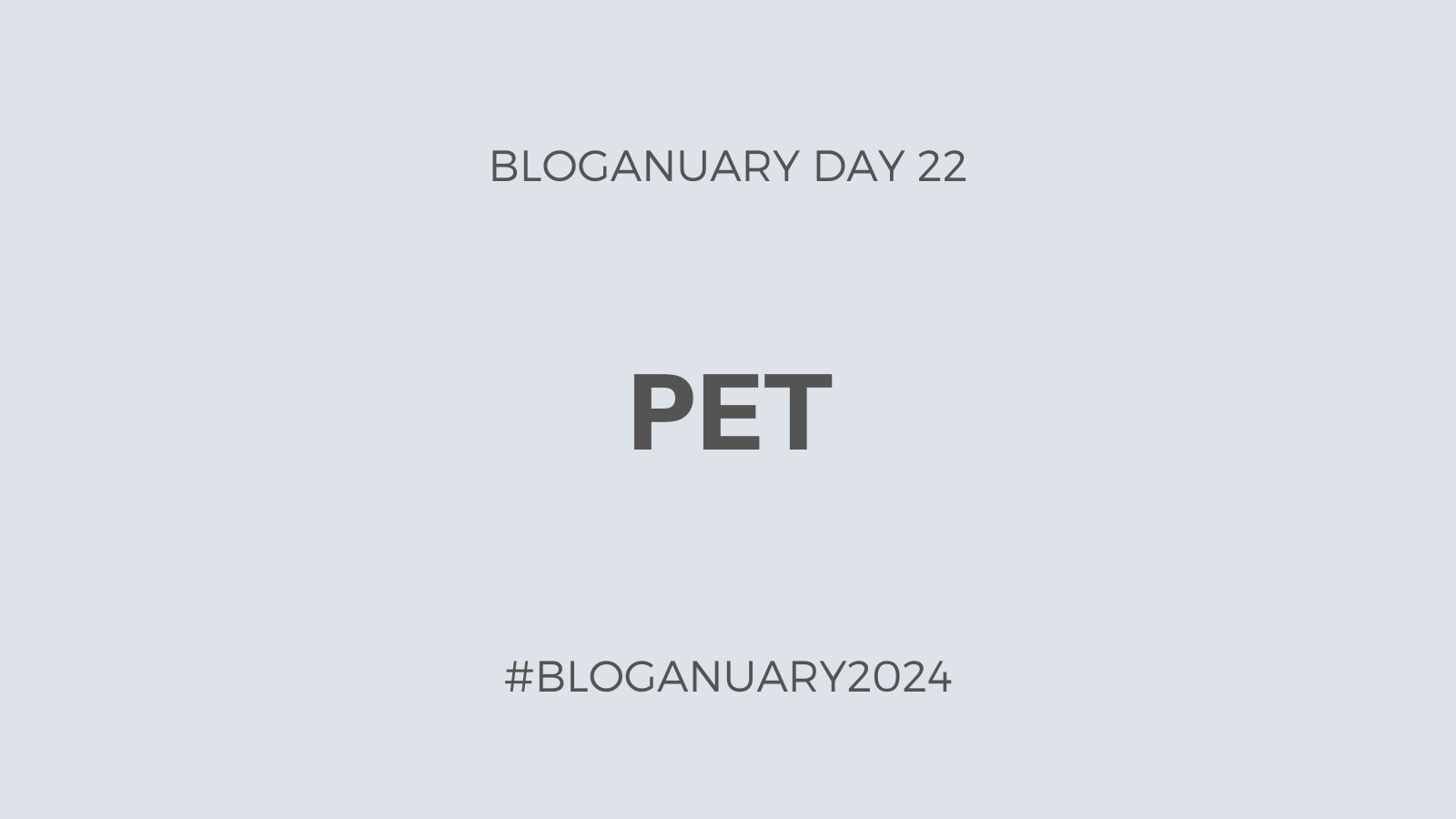 Bloganuary Day 22: Pet